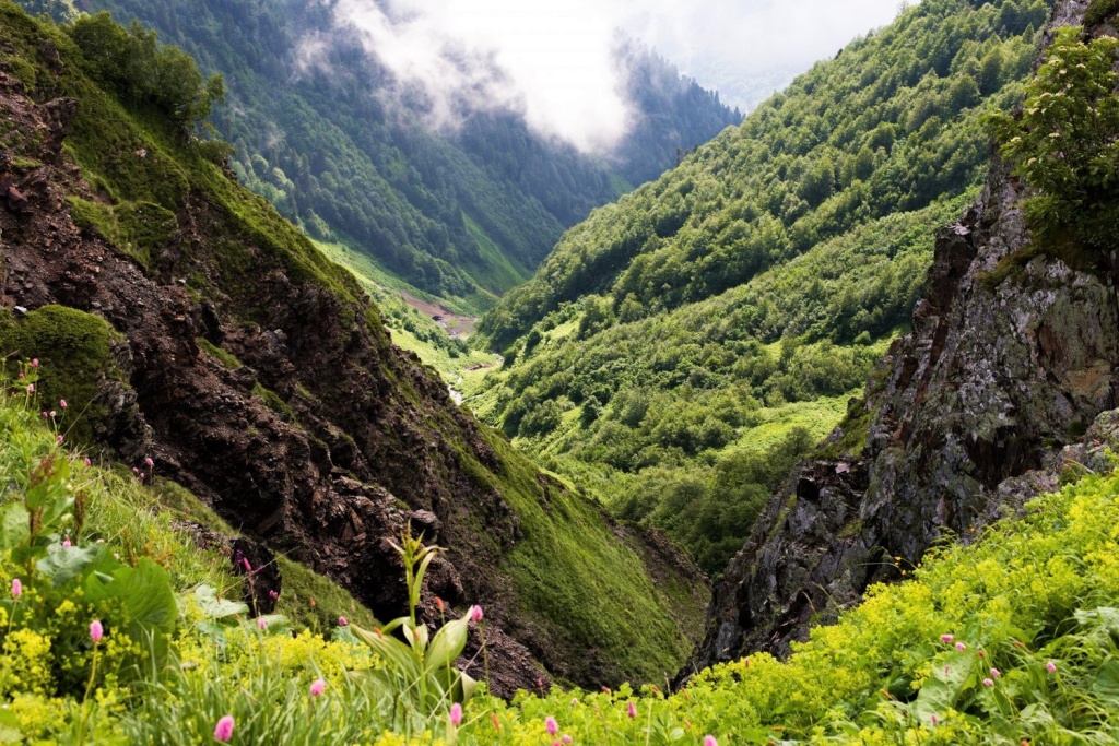 Фото Кавказский биосферный заповедник