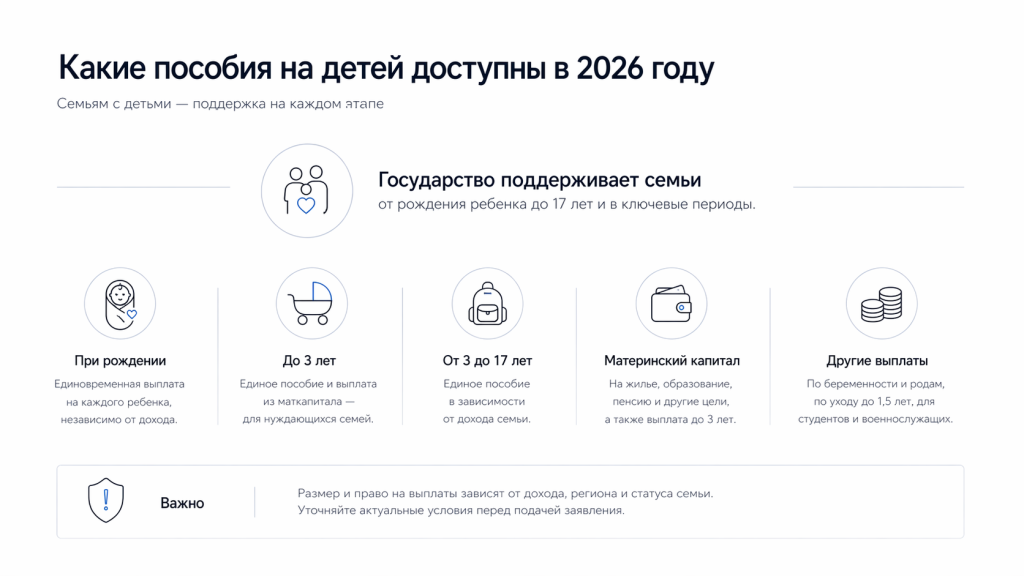 Основные виды пособий на детей